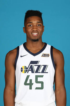 指标替代概 指标替代概